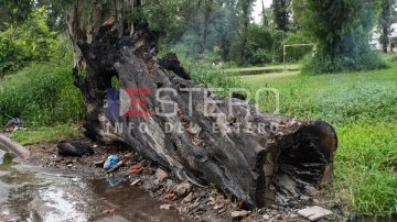 FOTOS. Al final no fue un rayo: investigan incendio intencional en el Parque Aguirre