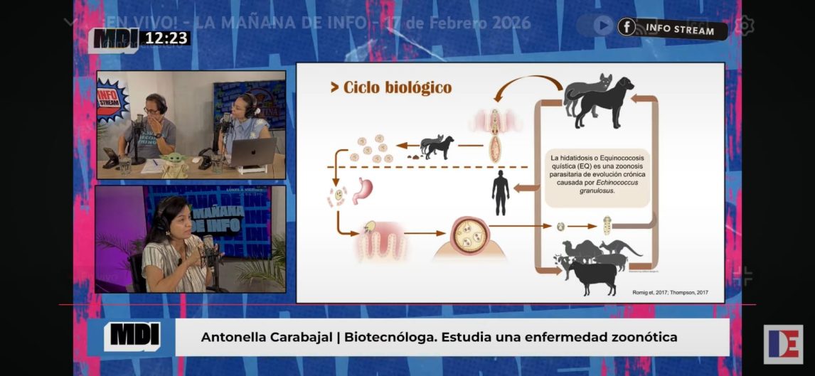 Lo que no sabías sobre los besos de tu mascota: la grave enfermedad que puede afectar hígado y pulmones