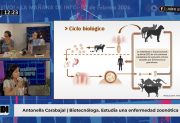 Lo que no sabías sobre los besos de tu mascota: la grave enfermedad que puede afectar hígado y pulmones