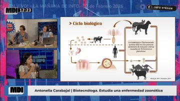 Lo que no sabías sobre los besos de tu mascota: la grave enfermedad que puede afectar hígado y pulmones