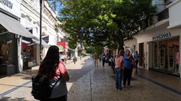 Se espera una jornada calurosa y con ráfagas de hasta 60km/h en la antesala de un lunes de 40 °C