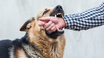 Salvaje ataque: soltó a su perro contra un hombre y luego lo apuñaló