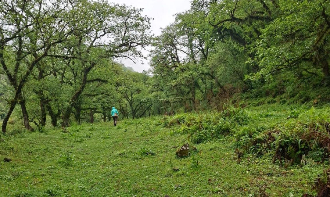 Ingenieros santiagueños advierten sobre los riesgos de modificar la Ley de Bosques y su impacto en la prevención de incendios