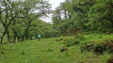 Ingenieros santiagueños advierten sobre los riesgos de modificar la Ley de Bosques y su impacto en la prevención de incendios