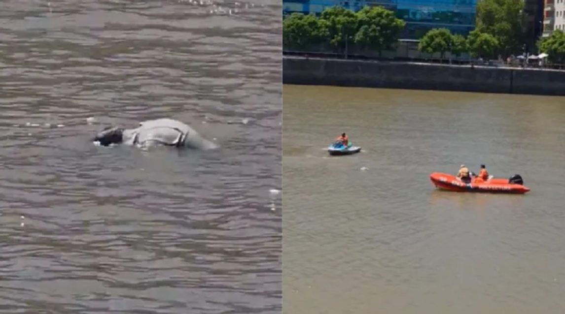 Qué se sabe del cadáver que encontraron flotando en el dique de Puerto Madero