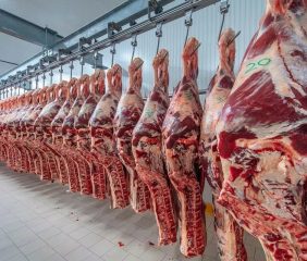 “La carne no va a bajar”: un veterinario defendió los precios y relativizó el impacto en el bolsillo