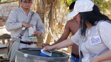 Alerta roja en Santa Cruz de la Sierra: registraron 5 muertes por Chikungunya