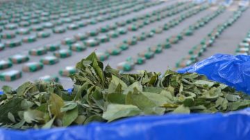 Operativo en Pozo Hondo: incautaron más de una tonelada de hoja de coca en un camión