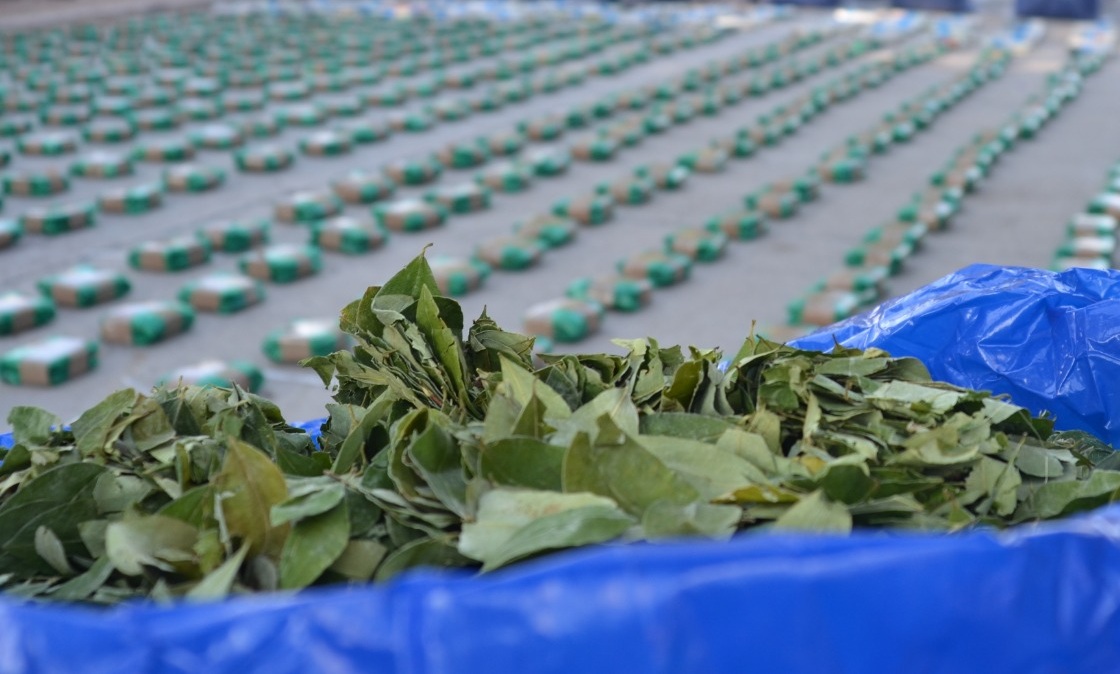 Operativo en Pozo Hondo: incautaron más de una tonelada de hoja de coca en un camión