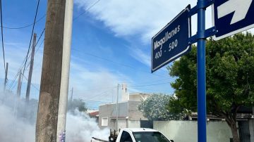 El cronograma de fumigaciones en los barrios capitalinos desde este lunes hasta el viernes 20