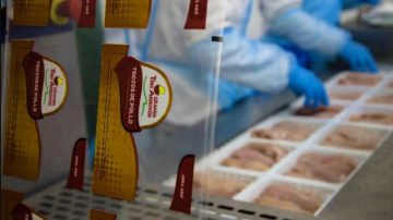 La avícola Tres Arroyos está al borde de la quiebra: la empresa adeuda pagos salariales a su plantel de 700 trabajadores