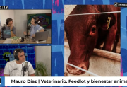 Del corral al plato: el veterinario de La Hernestina habló sobre feedlot, bienestar animal y el presente ganadero