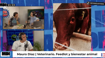 Del corral al plato: el veterinario de La Hernestina habló sobre feedlot, bienestar animal y el presente ganadero