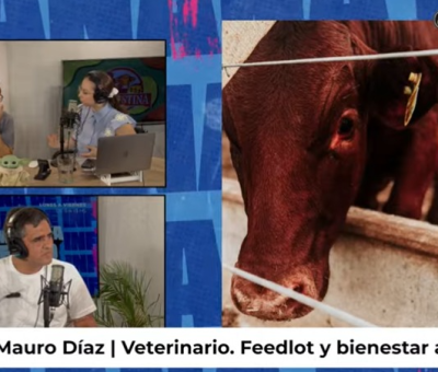 Del corral al plato: el veterinario de La Hernestina habló sobre feedlot, bienestar animal y el presente ganadero