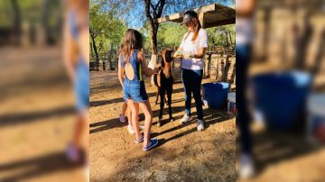 La Granja Estilo Campo impulsa un programa de apadrinamiento para sostener su tarea ambiental y de rescate animal