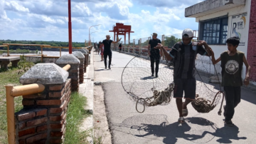 Intensos y eficaces operativos para la protección de la fauna en Santiago del Estero