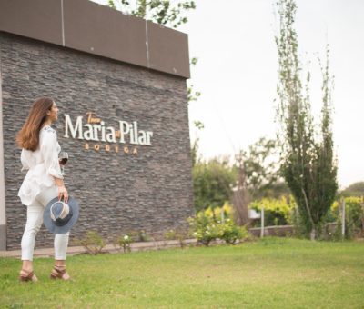 Nuevas cepas, cabañas y vendimia participativa: la bodega santiagueña que quiere conquistar el turismo rural