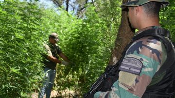 Bajo reserva, la Justicia analiza el rol de “Claudio” en la finca allanada en La Banda