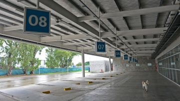 Paro total de transporte: la CGT logra una adhesión clave contra la reforma laboral