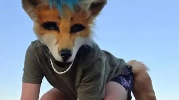 Insólito: una persona “therian” intentó hacerse atender con una veterinaria porque sufría de moquillo