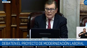 Zamora sobre la Reforma Laboral: “Las democracias débiles tienen esta tendencia a impulsar leyes contradictorias”