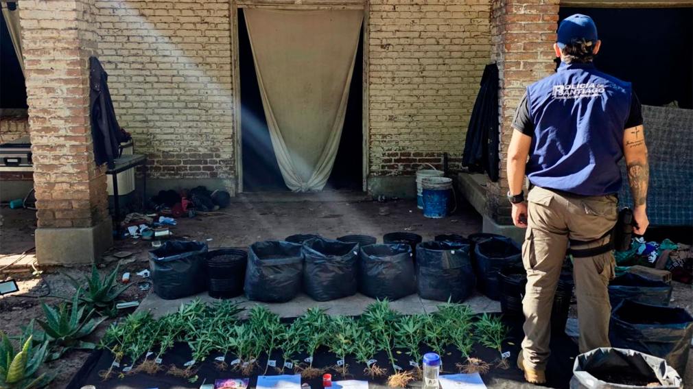Golpe al narcotráfico en Copo: desmantelan invernadero “indoor” en el paraje Ifia