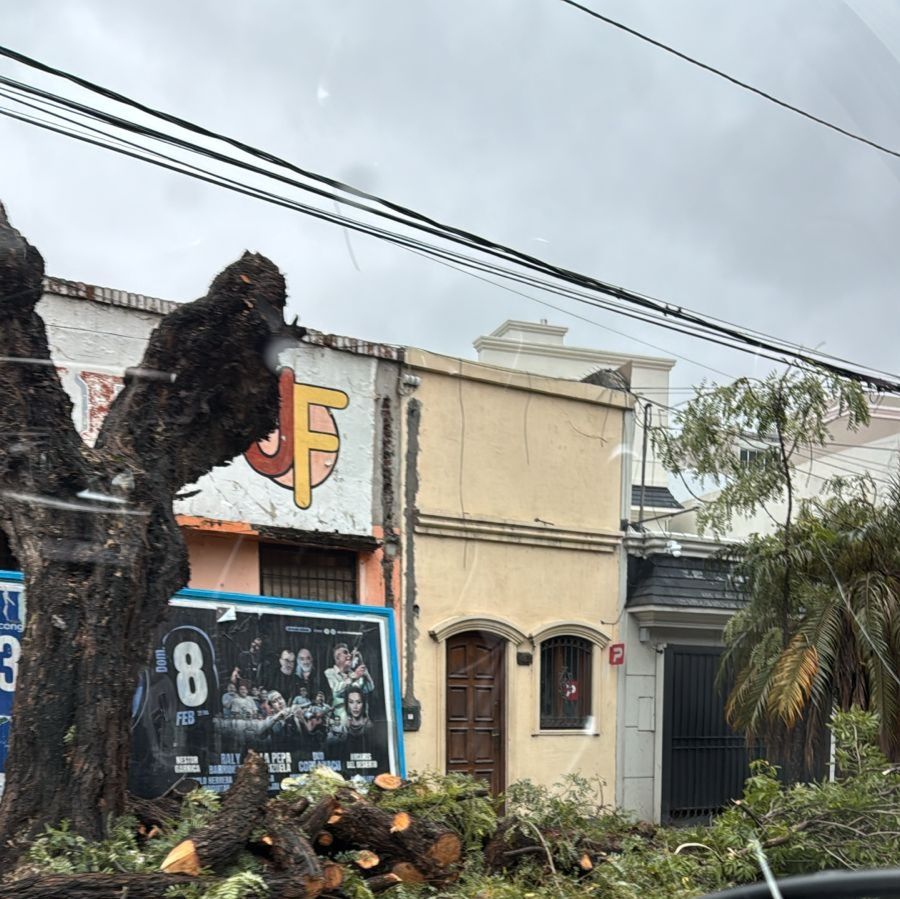 La Municipalidad multó a particulares por poda indebida y corte de calzada en Alsina y Belgrano