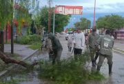 Tras el fuerte temporal, el municipio de Monte Quemado trabaja en la limpieza y despeje de calles