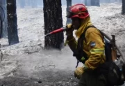 Alivio en la Patagonia: la lluvia y el frío frenaron el avance del fuego en Los Alerces