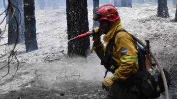 Alivio en la Patagonia: la lluvia y el frío frenaron el avance del fuego en Los Alerces
