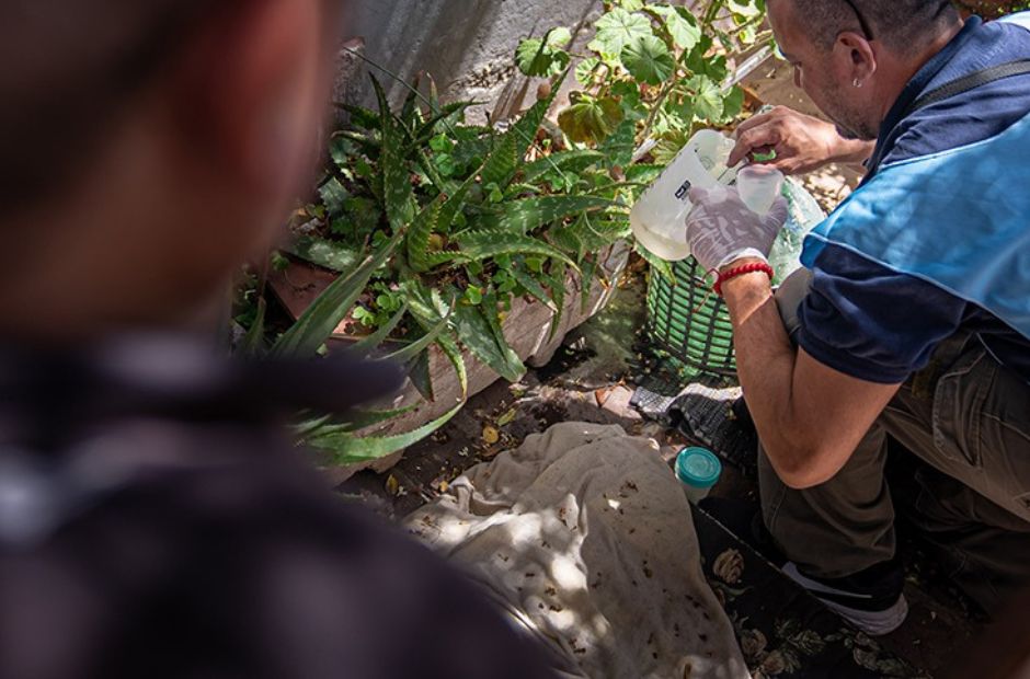 Confirman tres casos de chikungunya sin antecedentes de viaje, se refuerza vigilancia y acciones de control