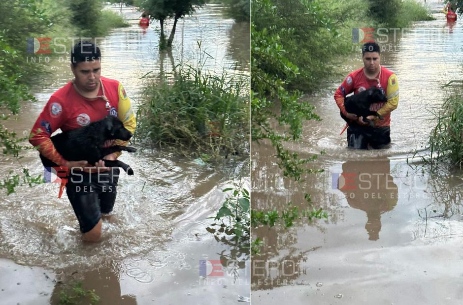No todos los héroes llevan capa: el emocionante rescate de dos perritos que se llevaba el río en Rubia Moreno