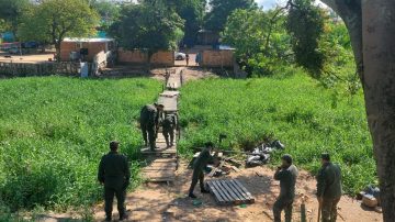 Desarman y destruyen ocho pasarelas clandestinas que conectaban con Paraguay sobre el río Pilcomayo