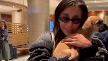 Amor sin fronteras: María Becerra adoptó un perrito de un refugio de Chile