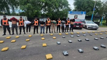 Secuestran más de 200 kilos de marihuana con destino a Córdoba