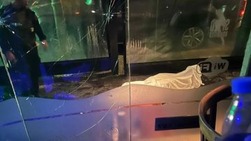 Cuatro patovicas detenidos por matar a un hombre frente a su hijo