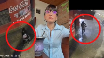 Indignación en La Banda: delincuente forzó la ventana de un showroom y se robó más de 10 ambos