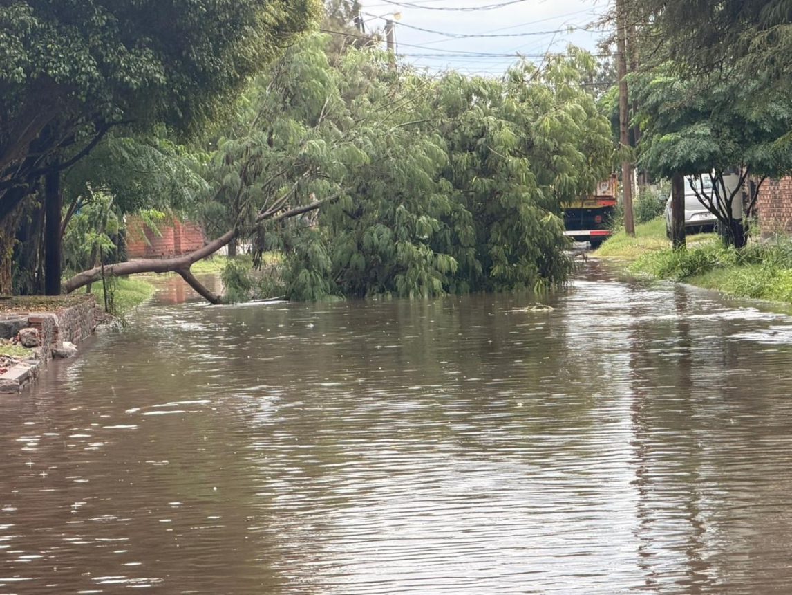FOTOS : las imágenes de la ciudad bajo el agua