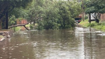 FOTOS : las imágenes de la ciudad bajo el agua
