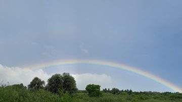 Tras la intensa lluvia, un arcoíris sorprendió a los vecinos de La Banda