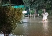 Las Termas: familias fueron trasladadas al exhospital ante el desborde del río