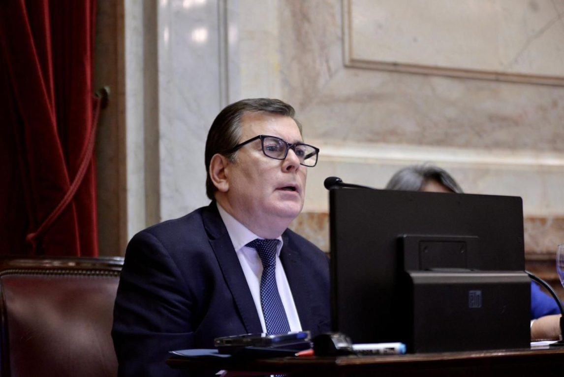 Zamora llevó al Senado el reclamo por las tarifas eléctricas y cargó duramente contra “Toto” Caputo