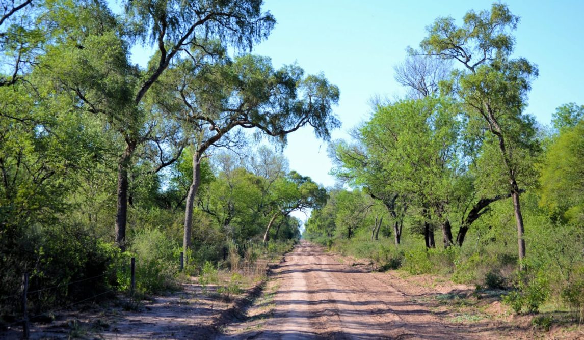 Los bosques y la economía local: el sustento de nuestras comunidades