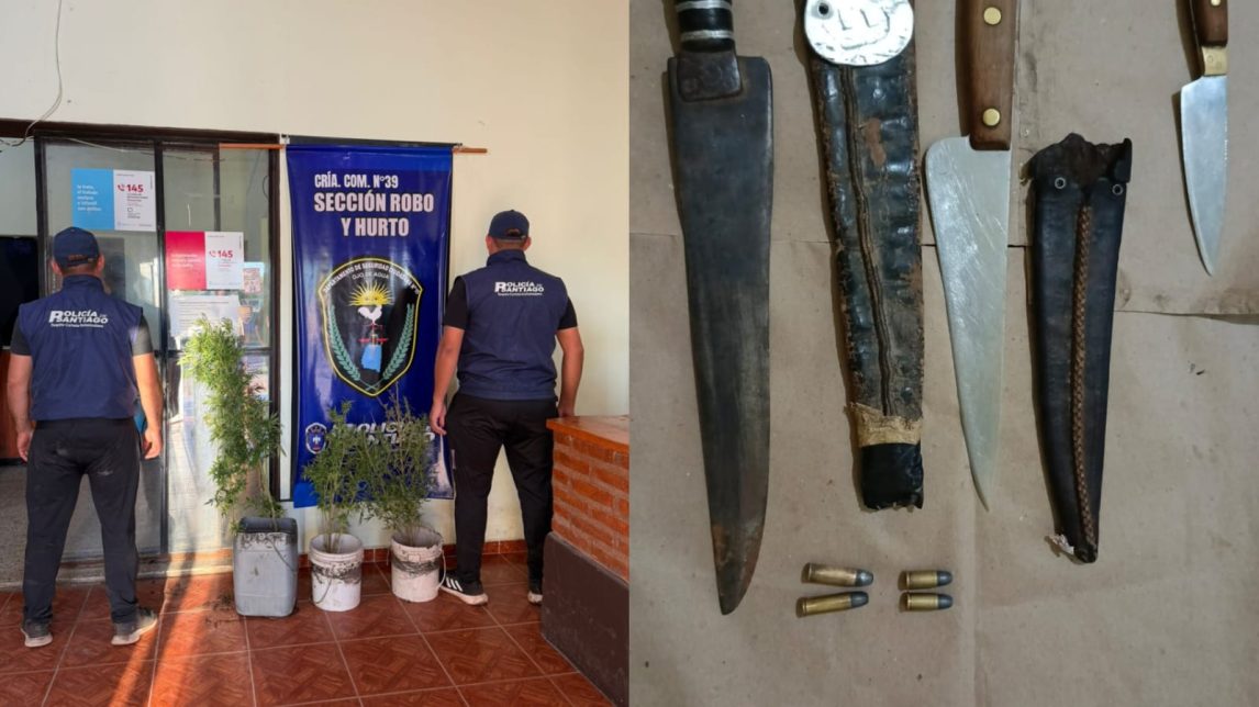 Allanan una vivienda por intento de homicidio: secuestran proyectiles, armas y plantas de cannabis