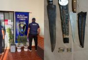 Allanan una vivienda por intento de homicidio: secuestran proyectiles, armas y plantas de cannabis