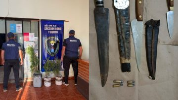 Allanan una vivienda por intento de homicidio: secuestran proyectiles, armas y plantas de cannabis