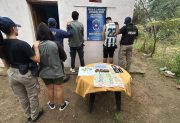 Dos hombres y una joven embarazada, detenidos por narcomenudeo: tenían cocaína, marihuana, semillas y plantas de cannabis