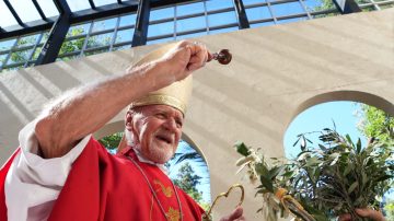 FOTOS. Bokalic encabezó la celebración del Domingo de Ramos en Santiago del Estero