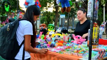 Culminaron con éxito las actividades del proyecto “Mujeres del Territorio”