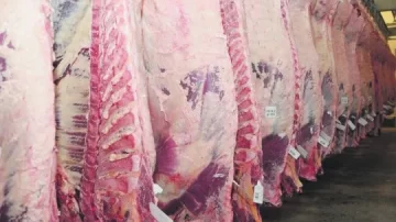 Controles Sanitarios Más Rigurosos: China Suspende Importaciones de Frigorífico Arrebeef SA